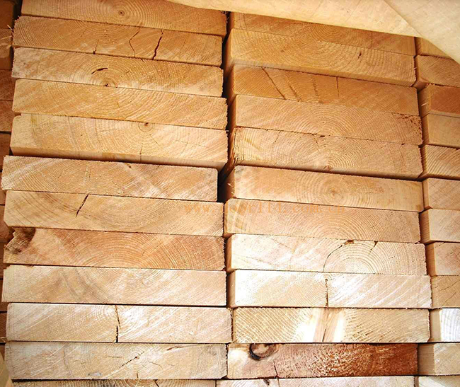 阜平智利辐射松方木