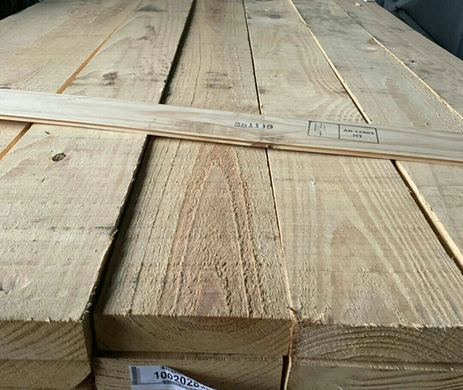 阜平阿根廷松木